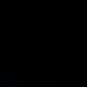 Meet your Posher, Lejla